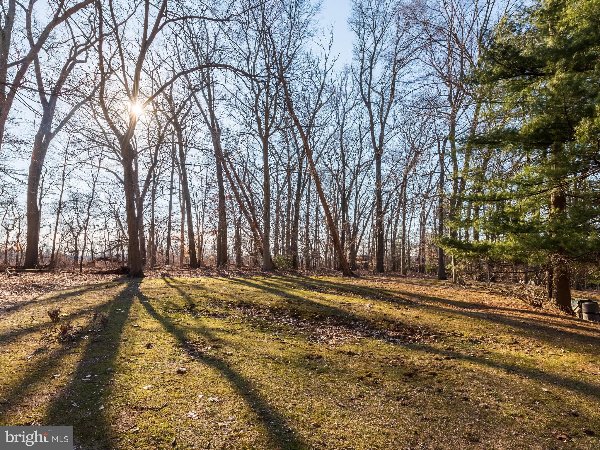 930 Conner Road West Chester, PA 19380 - Photo 46 of 52 Beautiful grounds