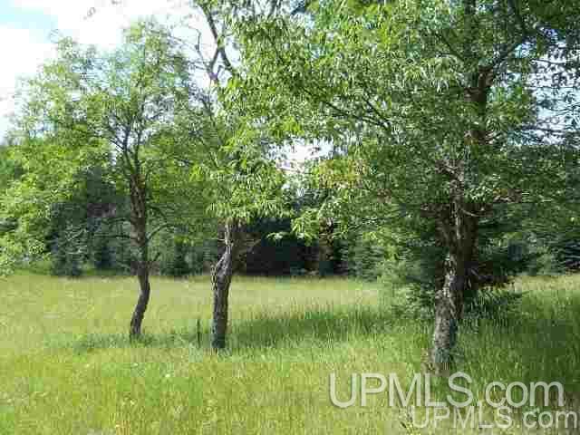 Tbd Tbd Off Stagecoach Road Michigamme, MI 49861 - Photo 11 of 37