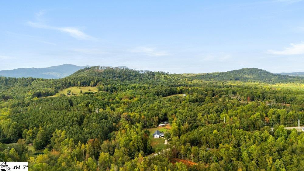 620 Oak Grove Road Landrum, SC 29356 - Photo 34 of 35