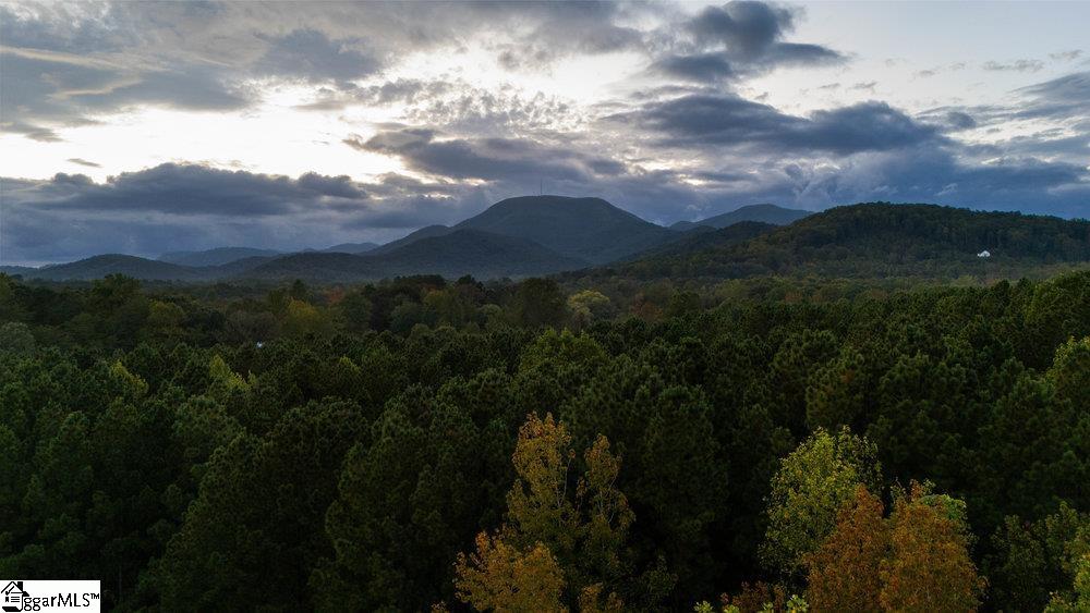 620 Oak Grove Road Landrum, SC 29356 - Photo 35 of 35