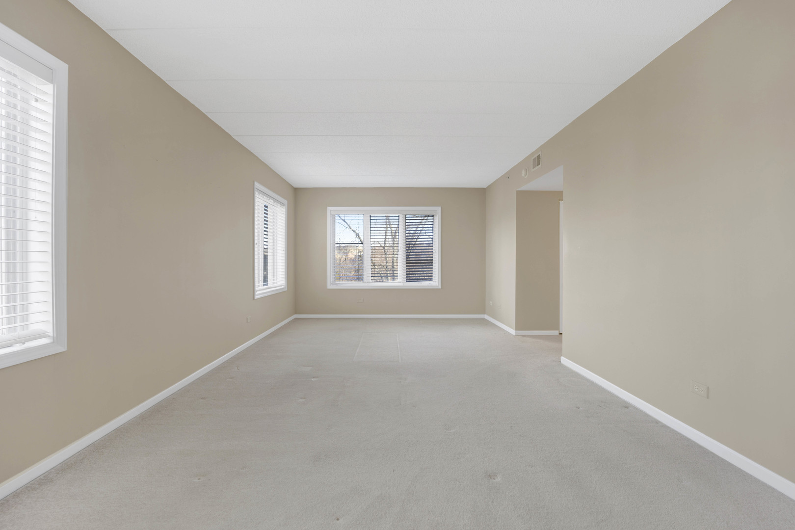 201 West Brush Hill Road, Unit 203 Elmhurst, IL 60126 - Photo 21 of 24 an empty room with windows