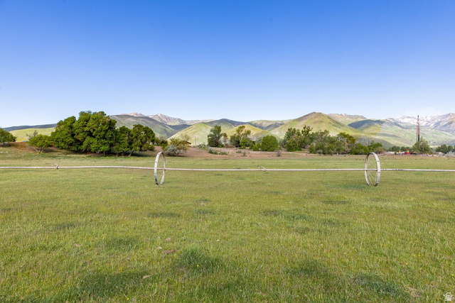 715 North River Road East, Unit 1 Midway, UT 84049 - Photo 8 of 34