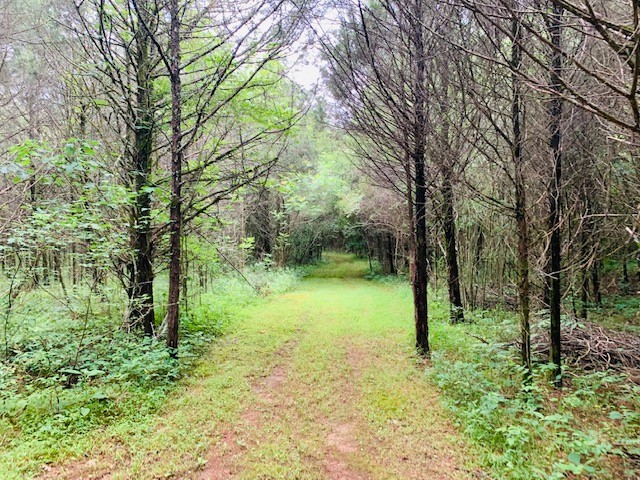 712 Spring Creek Road Lebanon, TN 37087 - Photo 30 of 33 a view of outdoor space and a yard