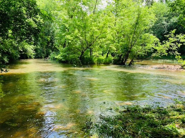 712 Spring Creek Road Lebanon, TN 37087 - Photo 31 of 33 a view of a ocean view