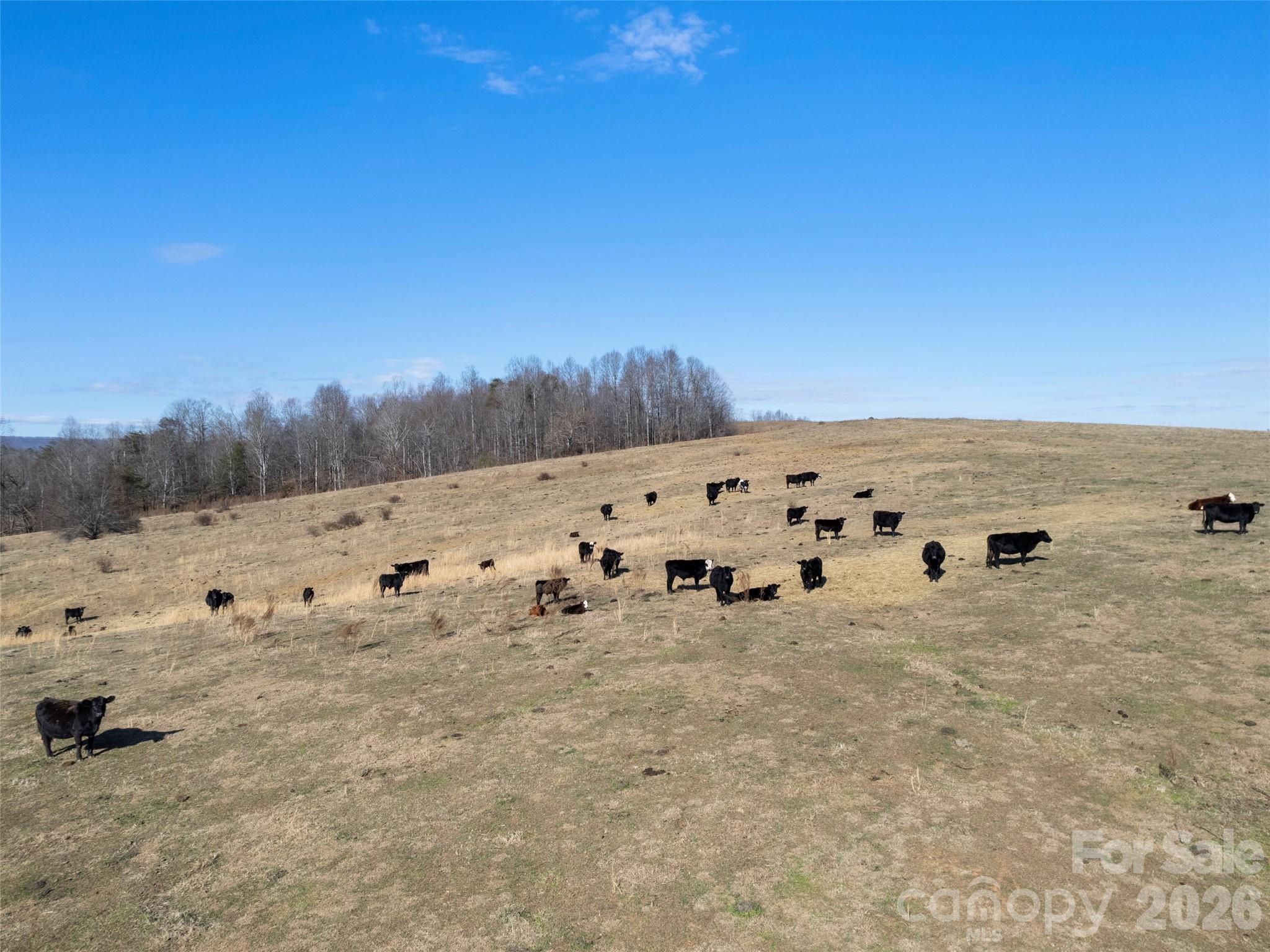 9999 Walker Road Nebo, NC 28761 - Photo 10 of 23