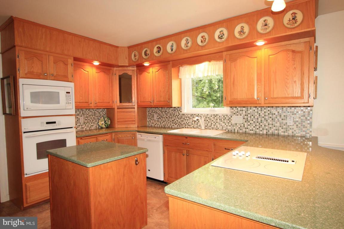 16 Countryside Lane Lititz, PA 17543 - Photo 4 of 28