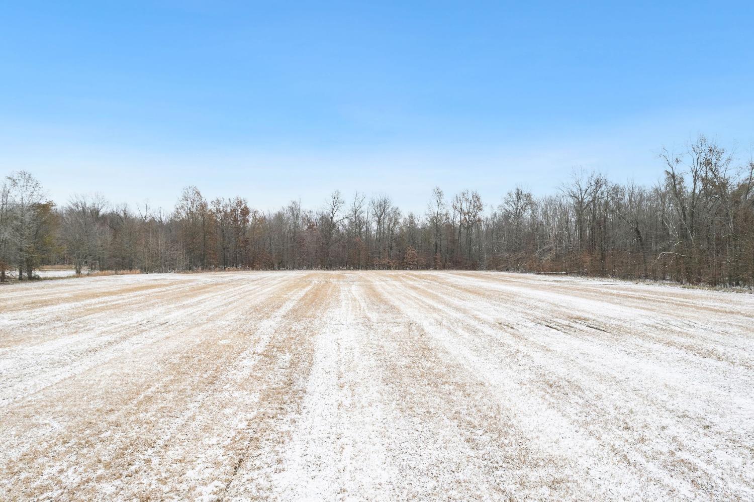 10786 Hamer Road Georgetown, OH 45121 - Photo 36 of 37