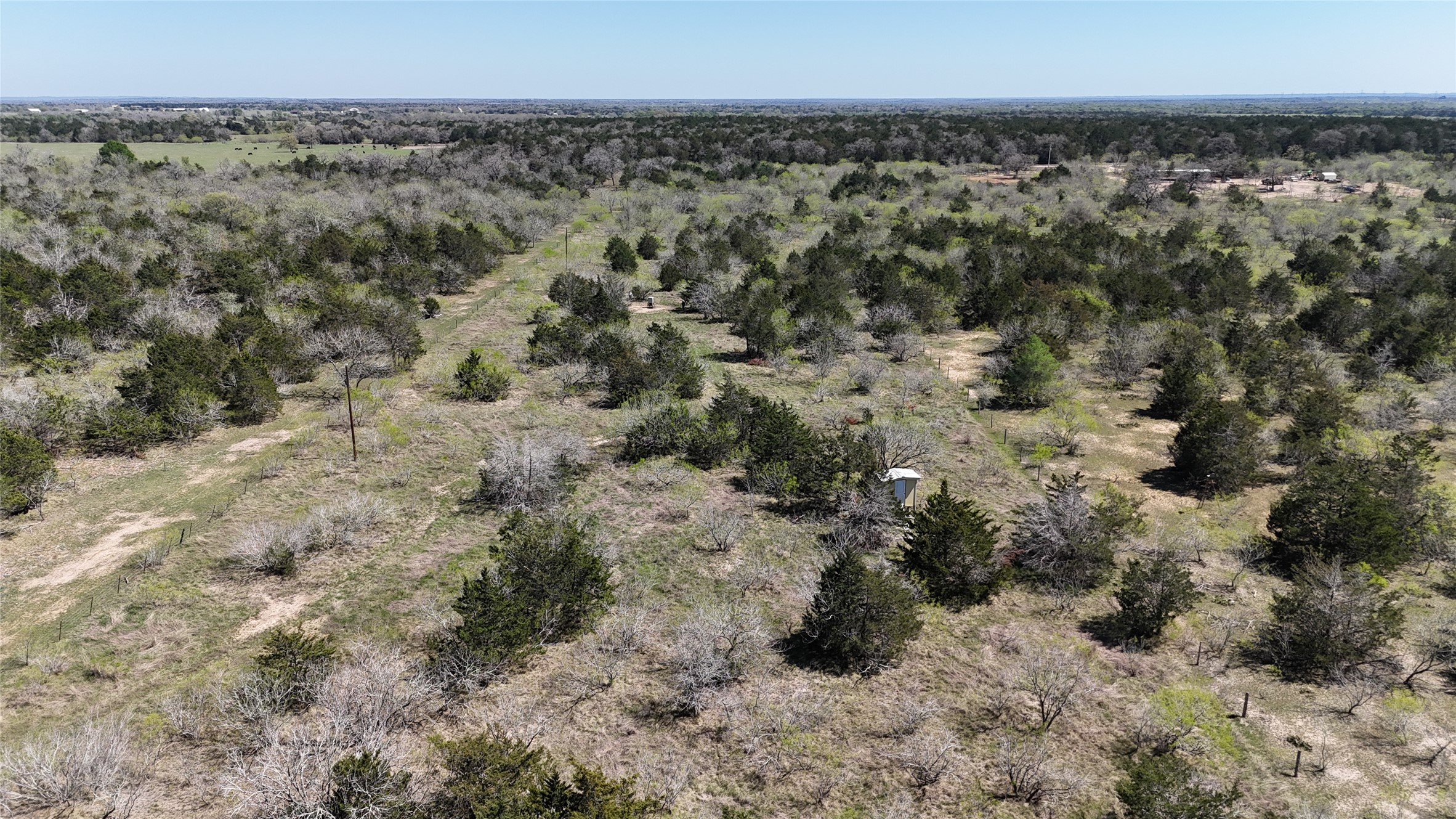 Tbd Patterson Road Flatonia, TX 78941 - Photo 30 of 35 Bird's eye view