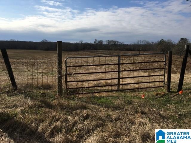 0 County Road 235, Unit 1 Alpine, AL 35014 - Photo 7 of 12