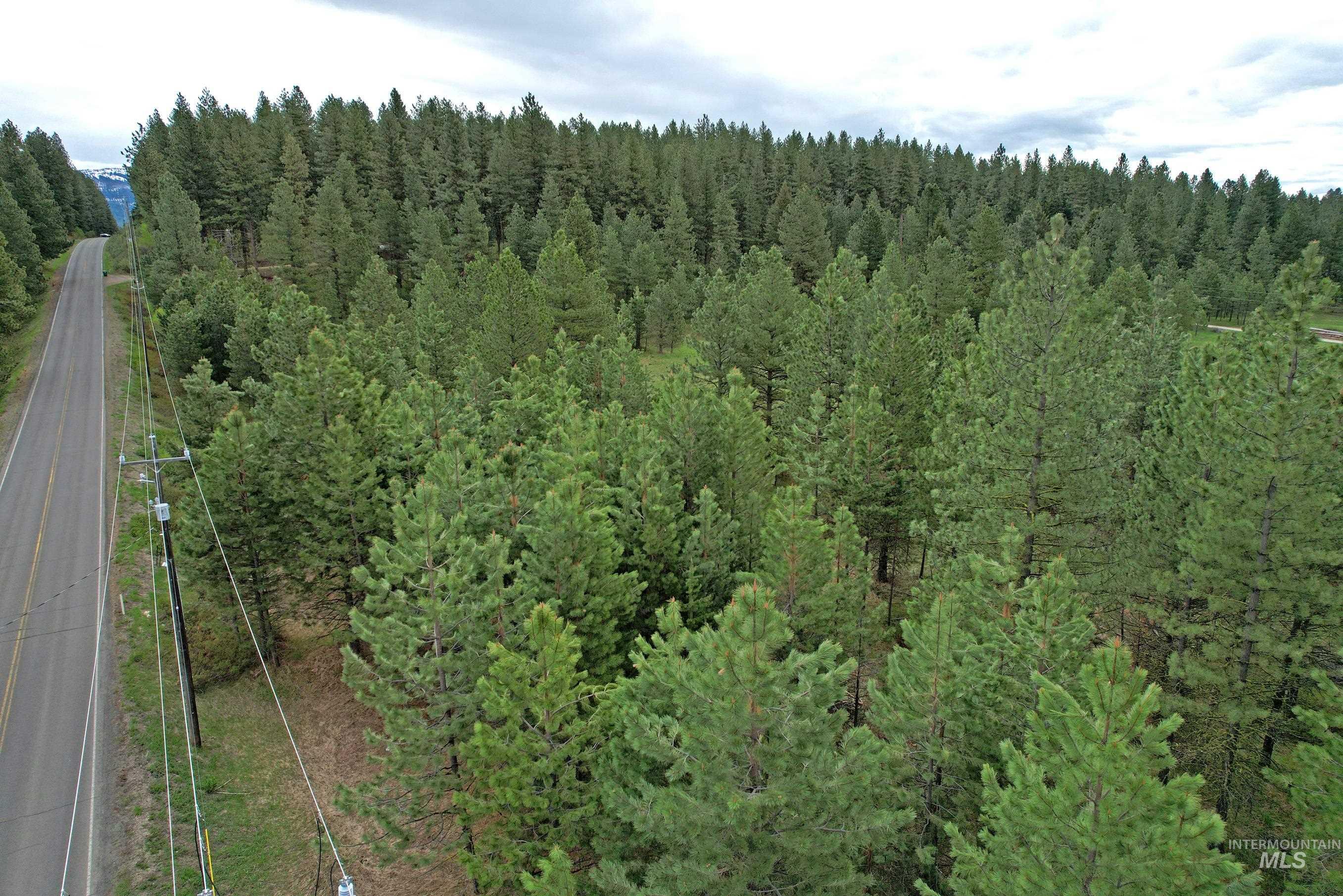 2 Elo Road McCall, ID 83638 - Photo 4 of 8