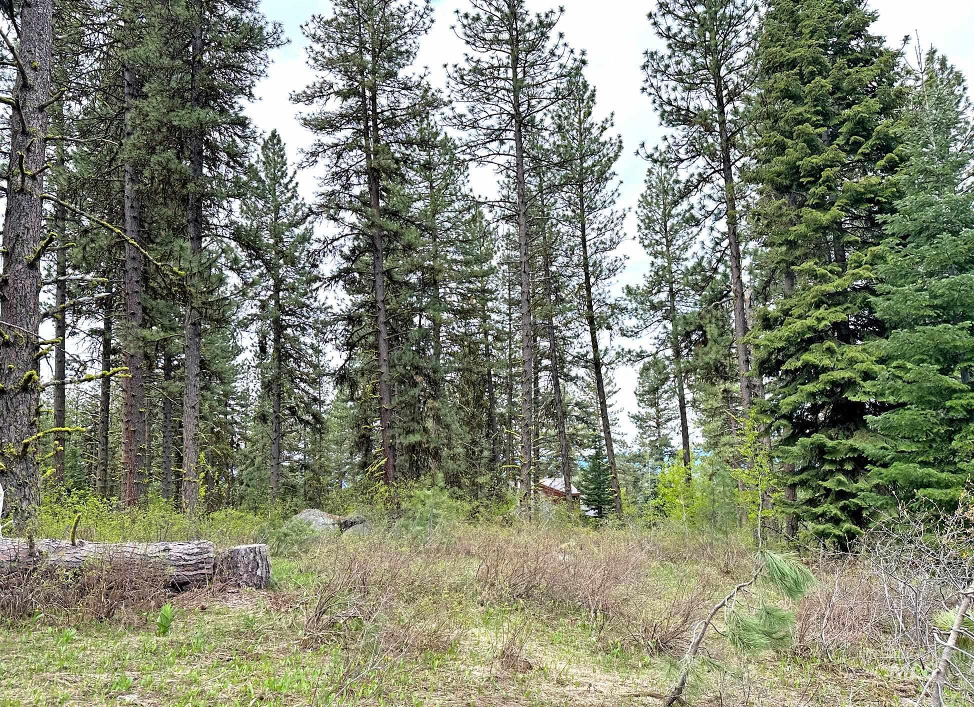 2 Elo Road McCall, ID 83638 - Photo 5 of 8