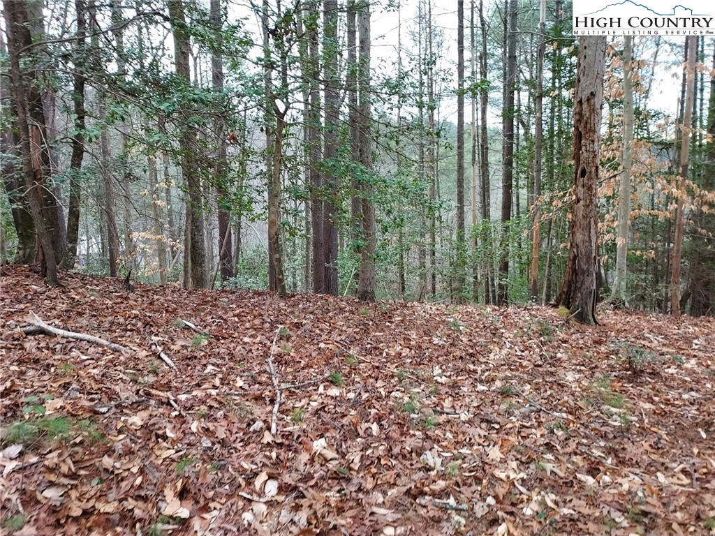 1719 Meadow Road Ferguson, NC 28624 - Photo 1 of 16