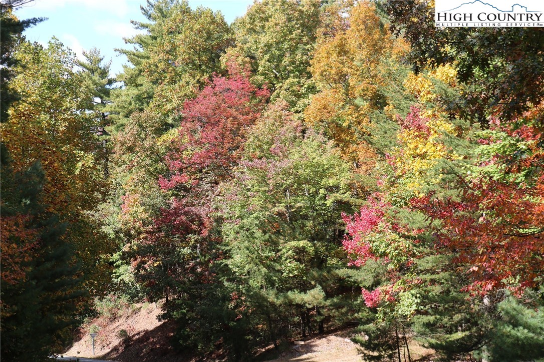 1719 Meadow Road Ferguson, NC 28624 - Photo 11 of 16