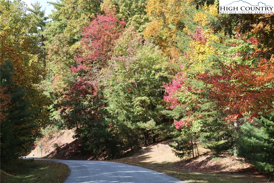 1719 Meadow Road Ferguson, NC 28624 - Photo 12 of 16