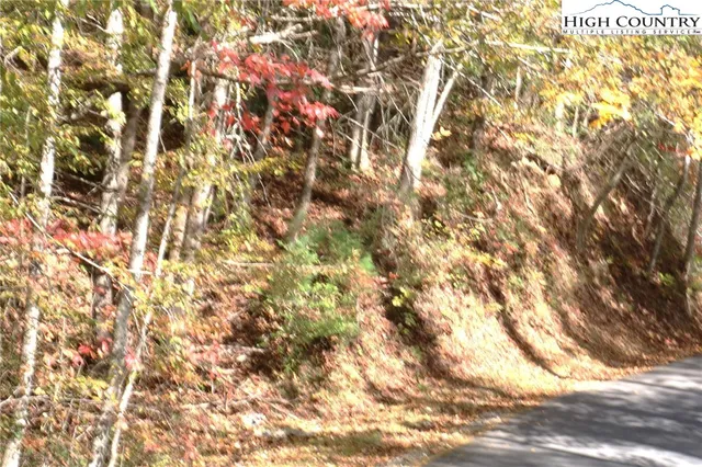 $68,000 | 1719 Meadow Road, Ferguson, NC 28624