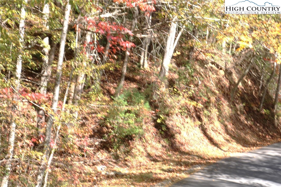 1719 Meadow Road Ferguson, NC 28624 - Photo 13 of 16