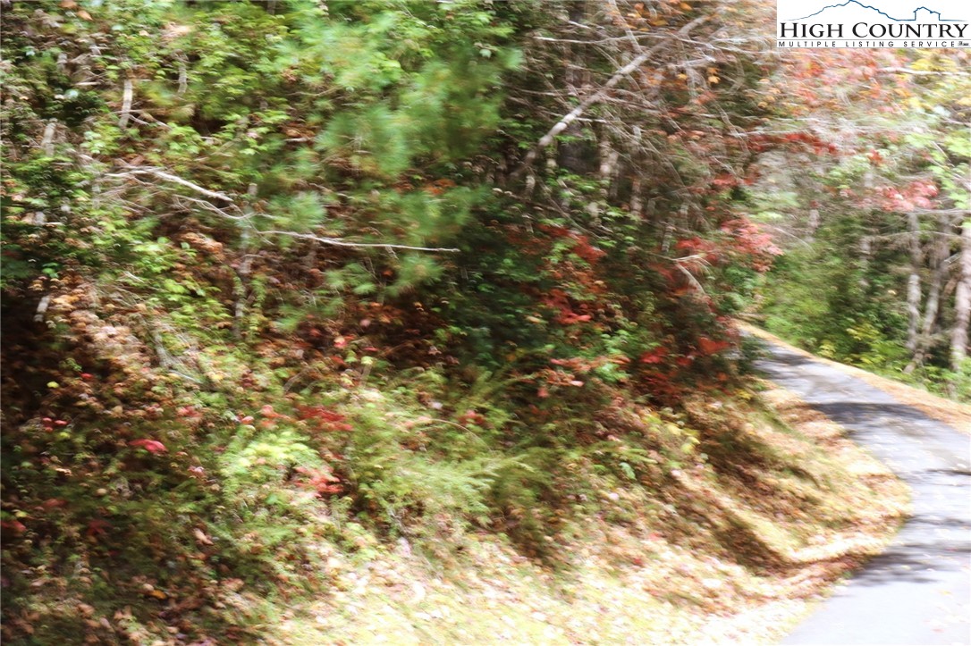 1719 Meadow Road Ferguson, NC 28624 - Photo 14 of 16