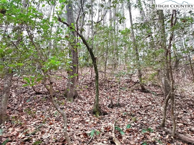 $68,000 | 1719 Meadow Road, Ferguson, NC 28624