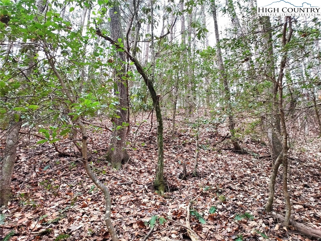 1719 Meadow Road Ferguson, NC 28624 - Photo 2 of 16