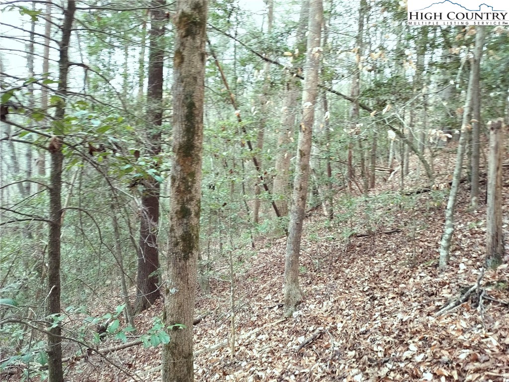 1719 Meadow Road Ferguson, NC 28624 - Photo 3 of 16