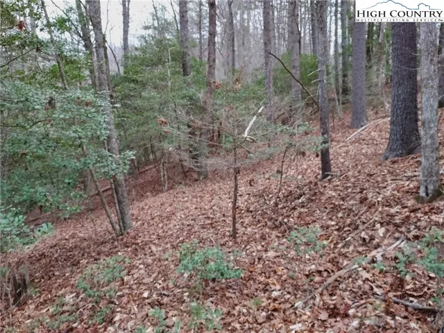 $68,000 | 1719 Meadow Road, Ferguson, NC 28624