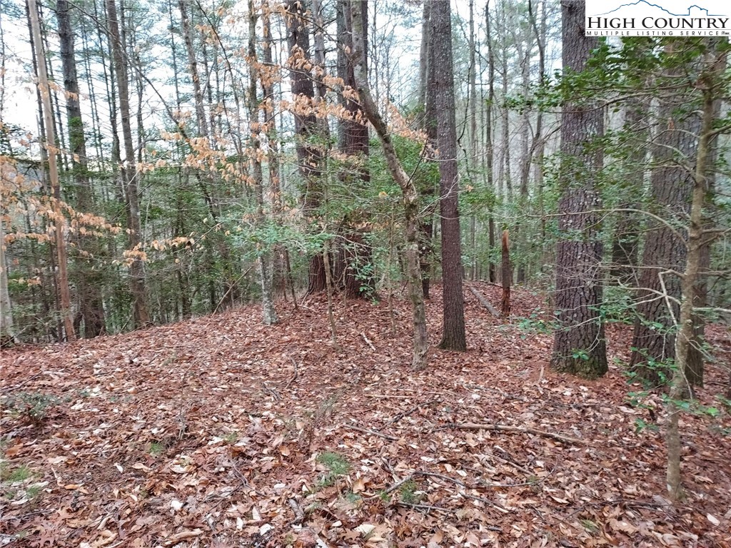 1719 Meadow Road Ferguson, NC 28624 - Photo 5 of 16