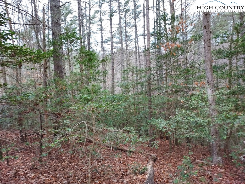 1719 Meadow Road Ferguson, NC 28624 - Photo 6 of 16