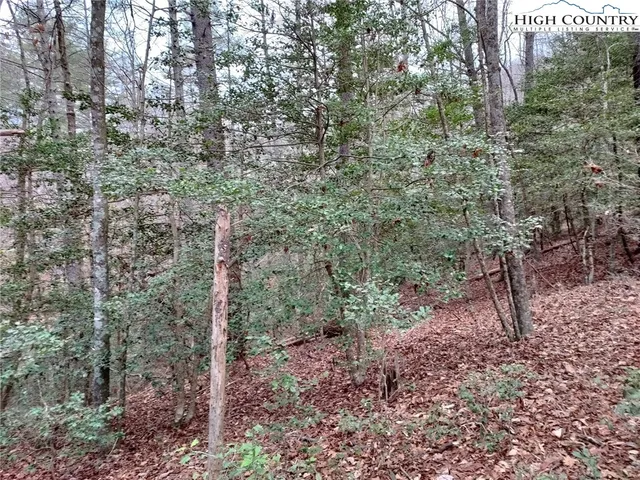 $68,000 | 1719 Meadow Road, Ferguson, NC 28624