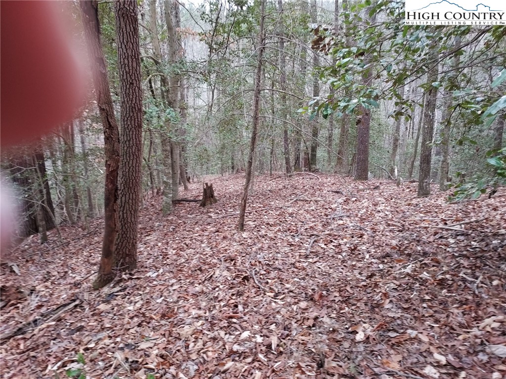 1719 Meadow Road Ferguson, NC 28624 - Photo 8 of 16