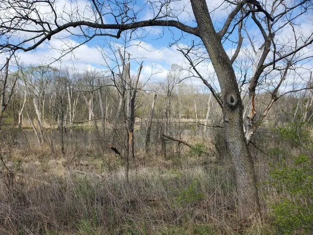 $369,500 | N068 Forsythe Court, Winfield, IL 60190