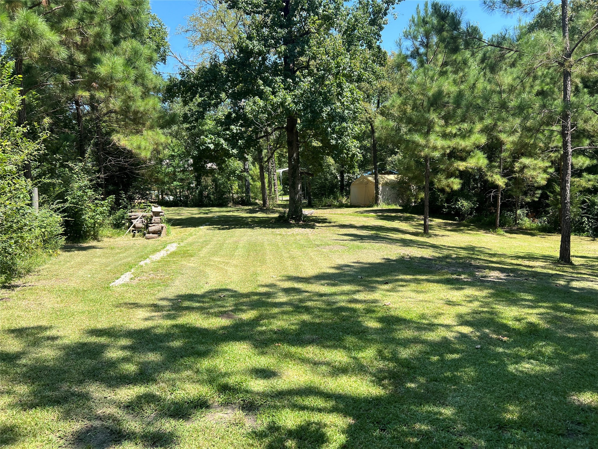142 Walnut Ridge Livingston, TX 77351 - Photo 15 of 36 Plenty of open cleared area for all your outdoor activities