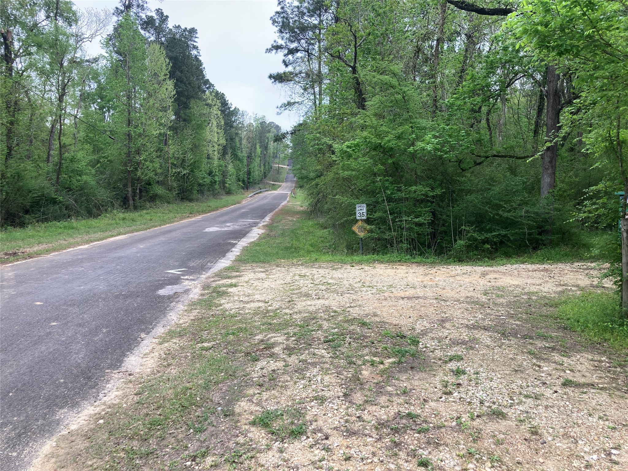 142 Walnut Ridge Livingston, TX 77351 - Photo 32 of 36 Looking down Walnut Ridge Rd.