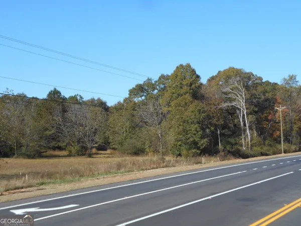 a view of a yard with trees
