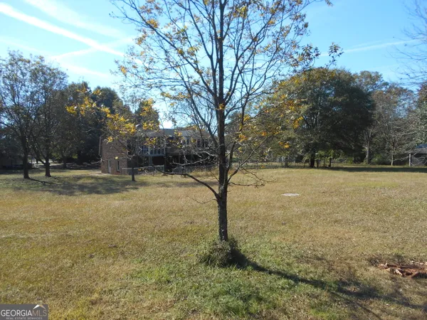 a view of a dry yard with trees in the background