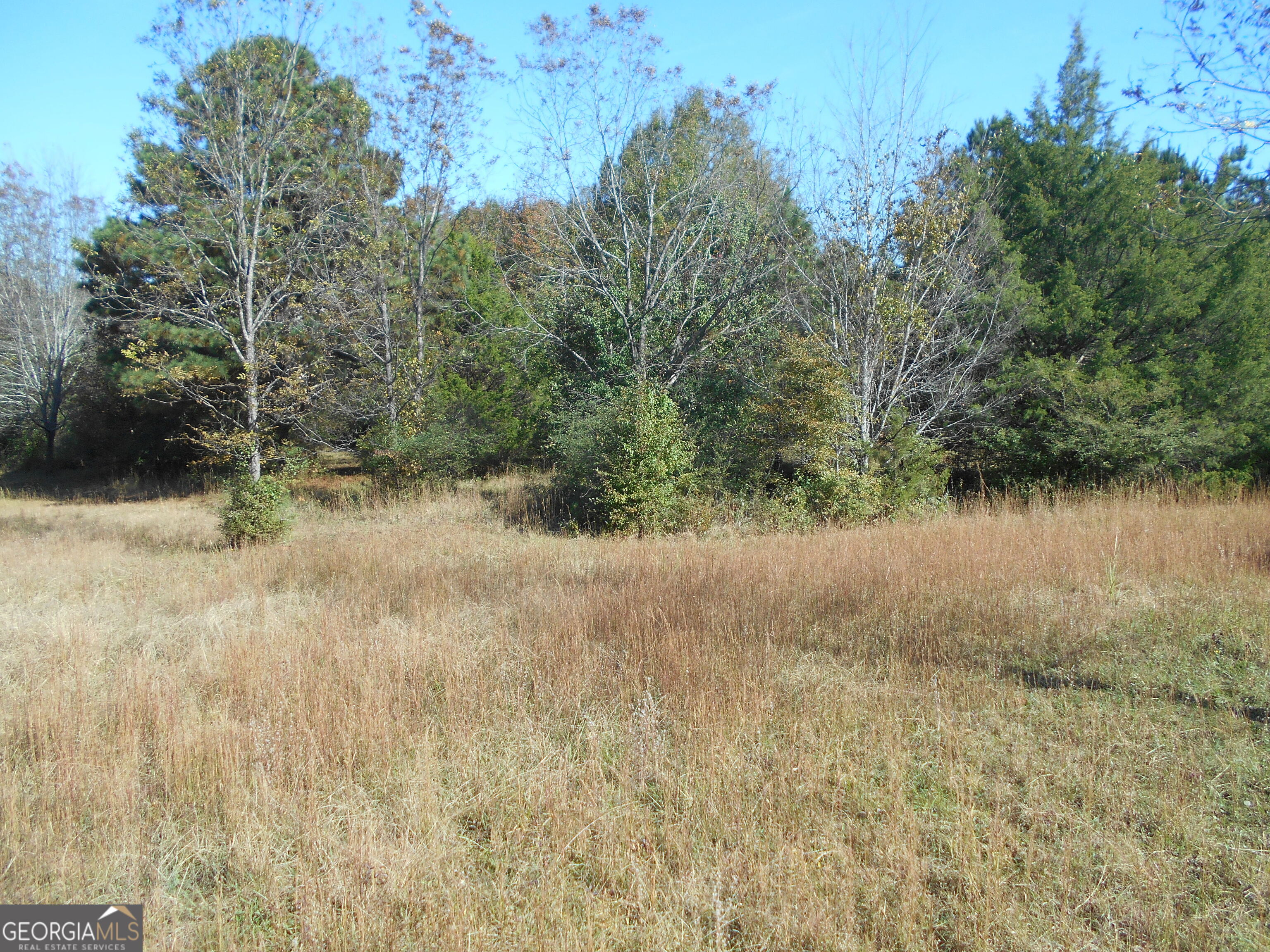 1230 Good Hope Road Monroe, GA 30655 - Photo 45 of 76