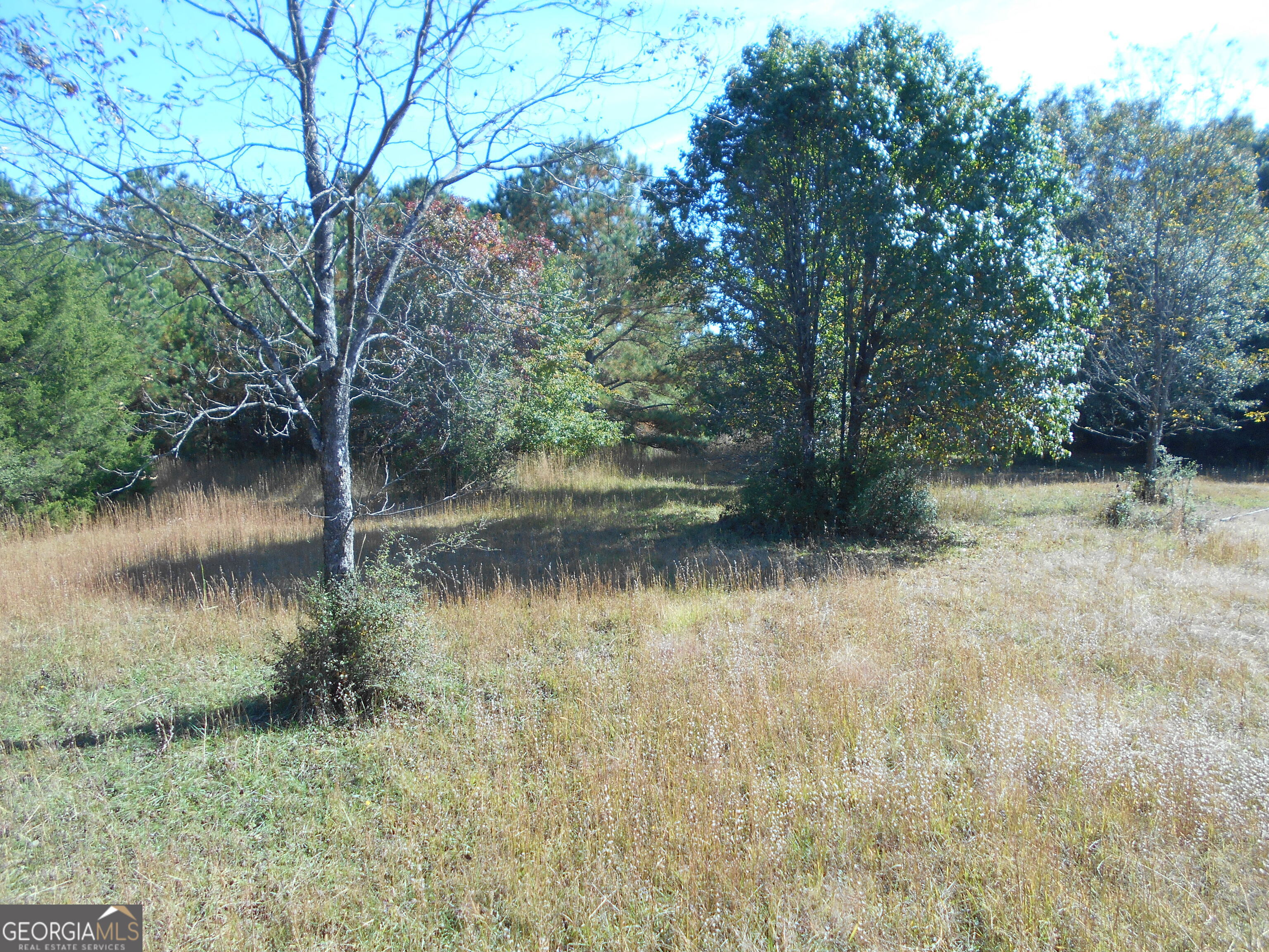 1230 Good Hope Road Monroe, GA 30655 - Photo 46 of 76