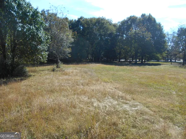 a view of a field with trees in the background