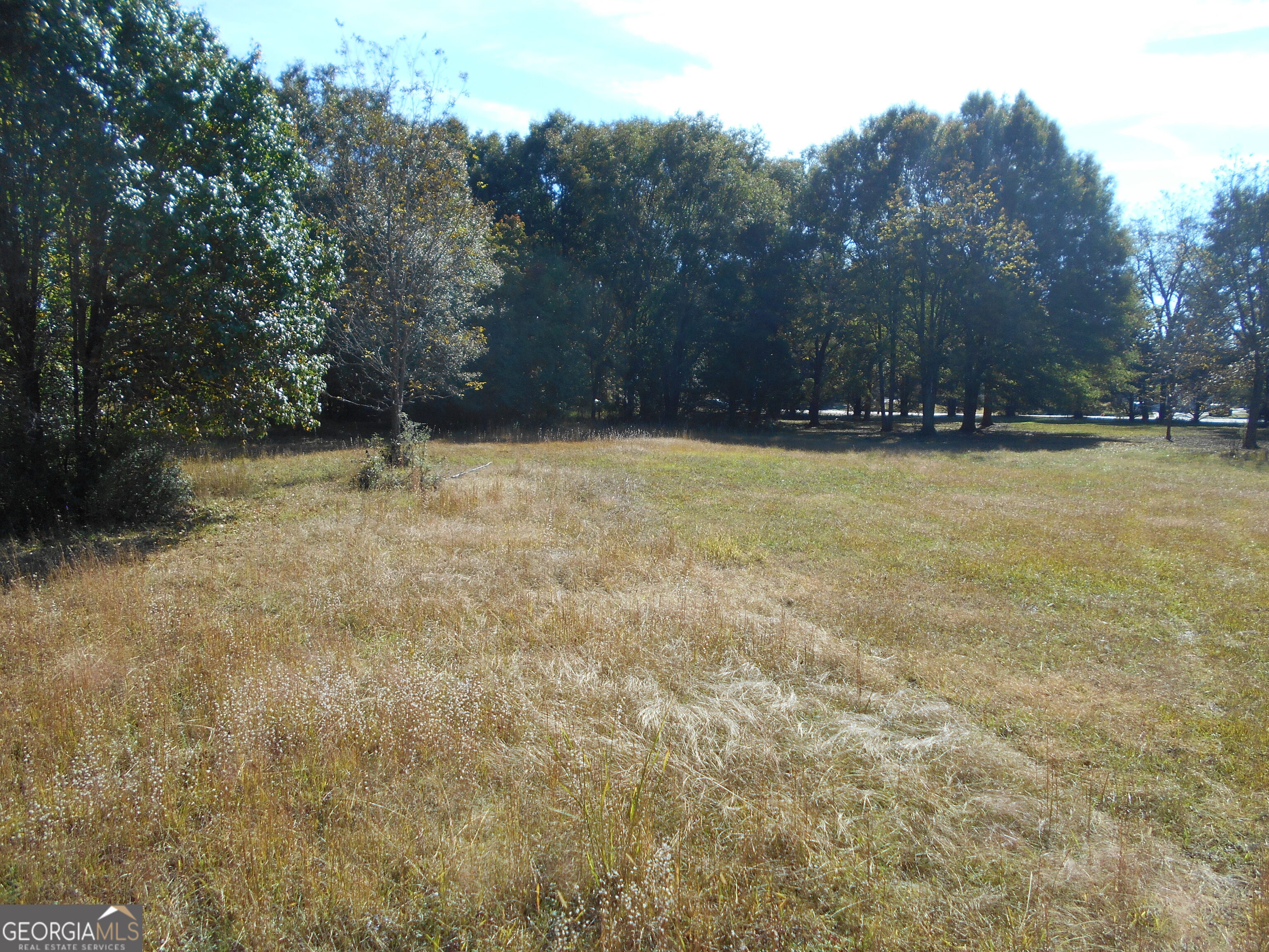 1230 Good Hope Road Monroe, GA 30655 - Photo 47 of 76