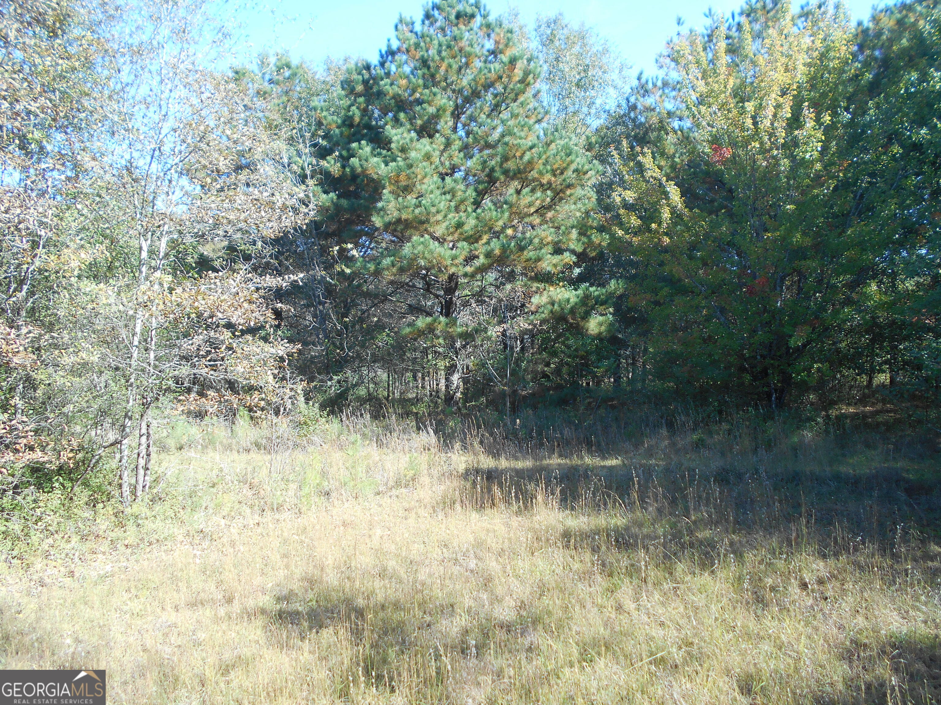 1230 Good Hope Road Monroe, GA 30655 - Photo 49 of 76