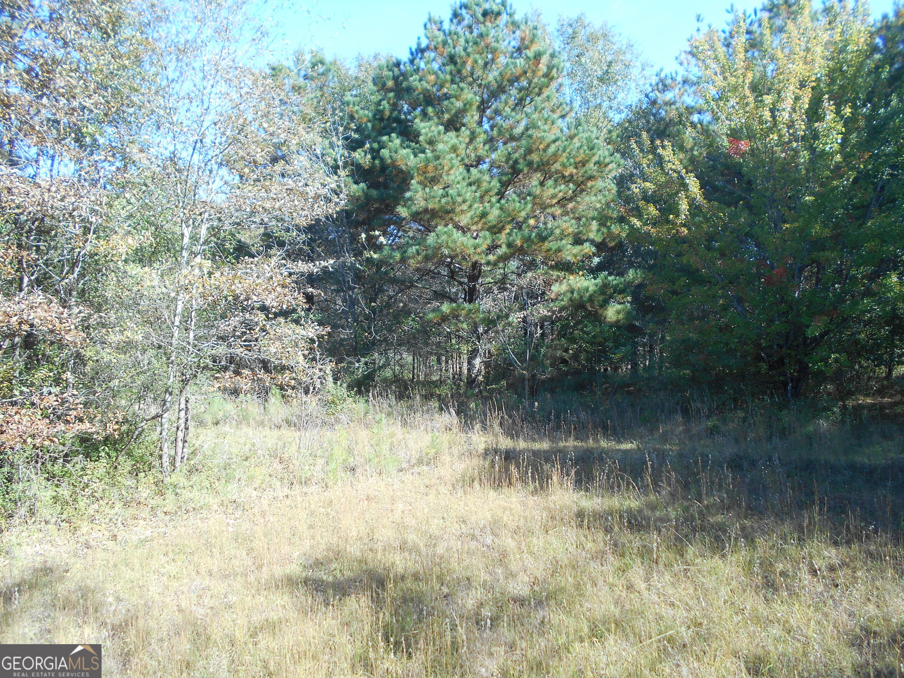 1230 Good Hope Road Monroe, GA 30655 - Photo 50 of 76