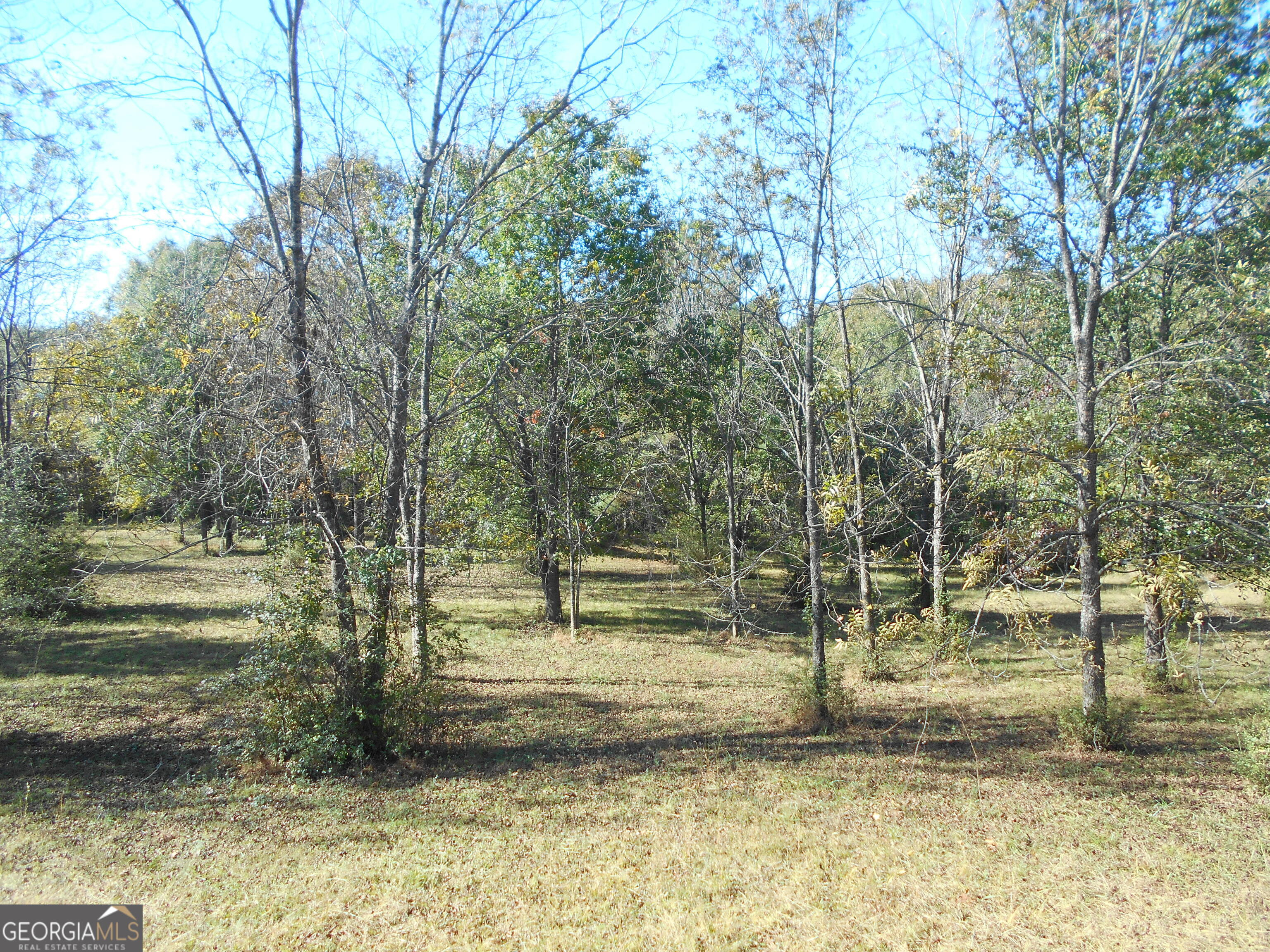 1230 Good Hope Road Monroe, GA 30655 - Photo 52 of 76