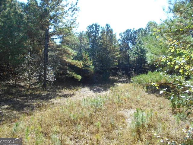 $2,187,031 | 1230 Good Hope Road, Monroe, GA 30655