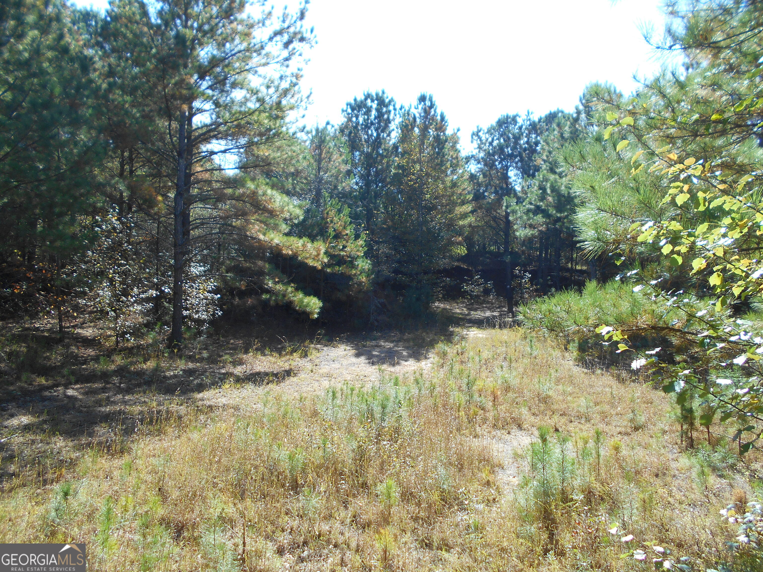 1230 Good Hope Road Monroe, GA 30655 - Photo 54 of 76