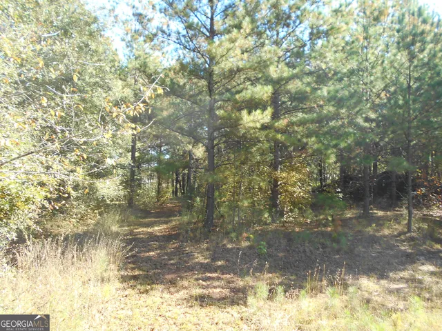 $2,187,031 | 1230 Good Hope Road, Monroe, GA 30655