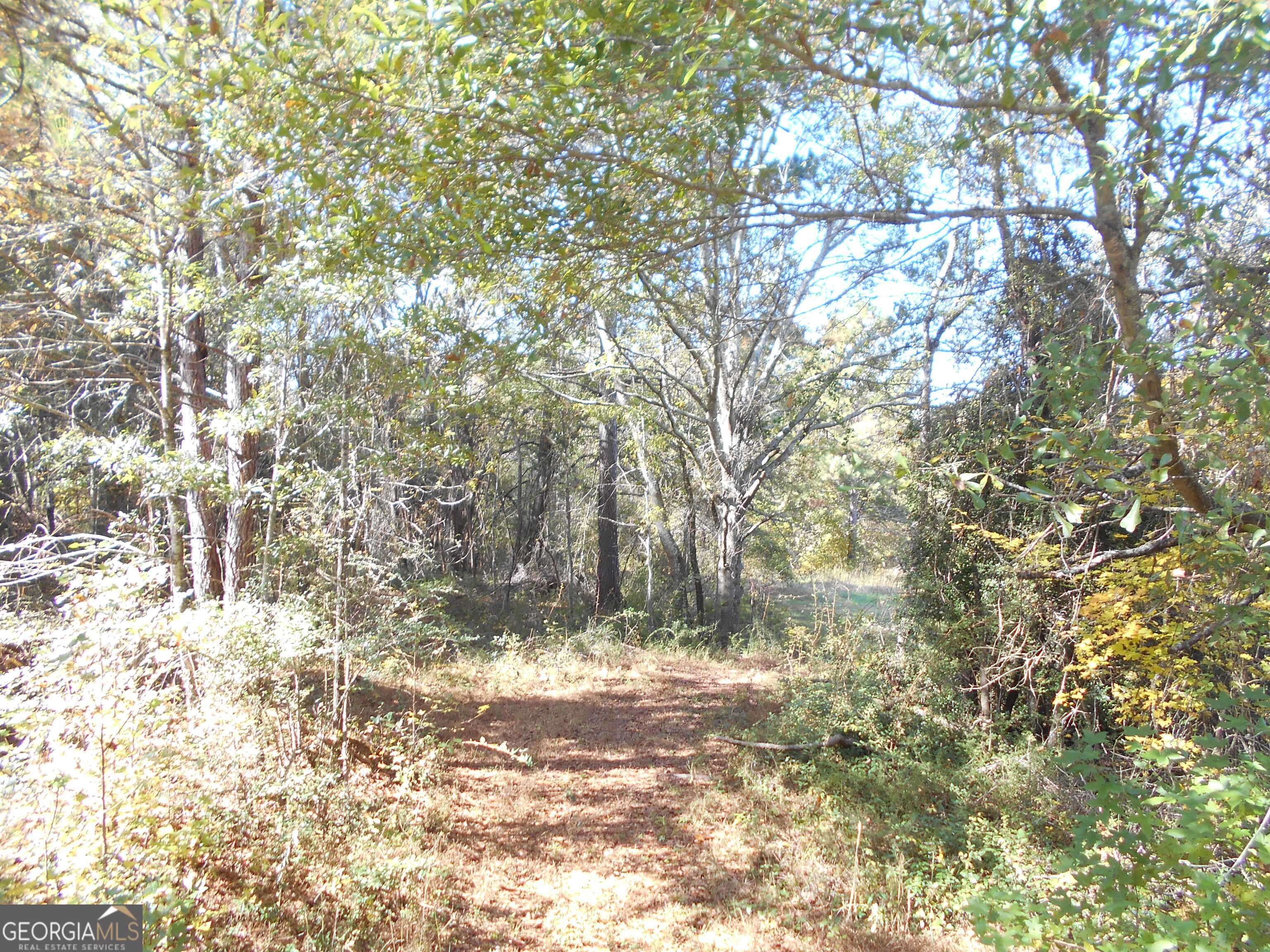 1230 Good Hope Road Monroe, GA 30655 - Photo 56 of 76