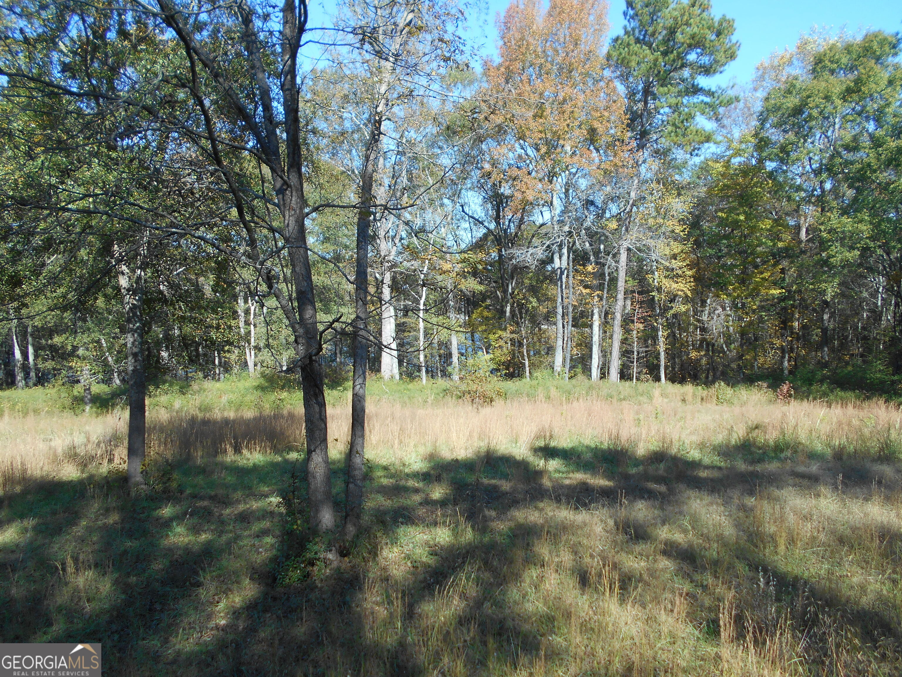 1230 Good Hope Road Monroe, GA 30655 - Photo 58 of 76