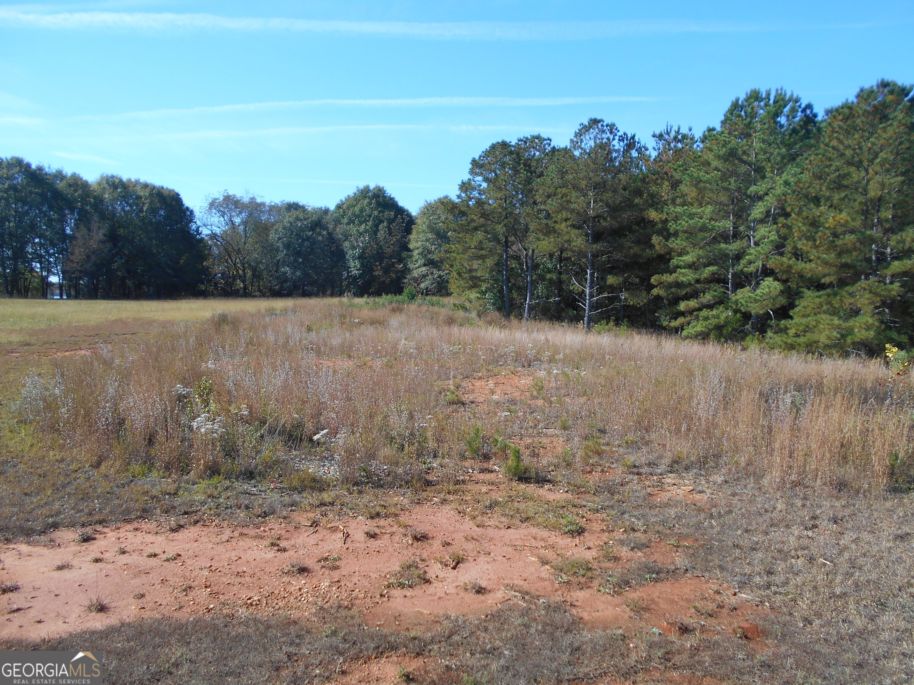 1230 Good Hope Road Monroe, GA 30655 - Photo 61 of 76