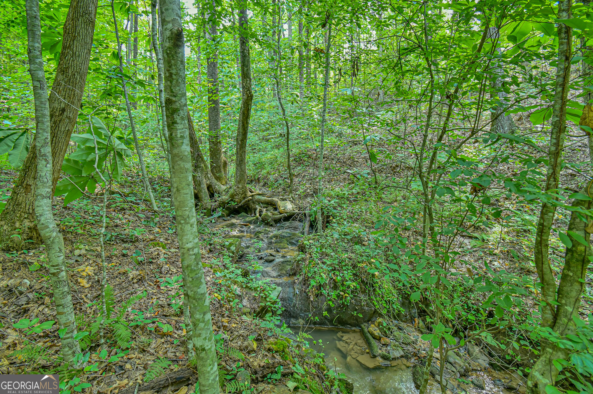 0 Orchard Lane Talking Rock, GA 30175 - Photo 13 of 23