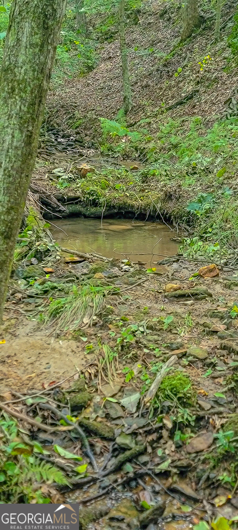 0 Orchard Lane Talking Rock, GA 30175 - Photo 20 of 23