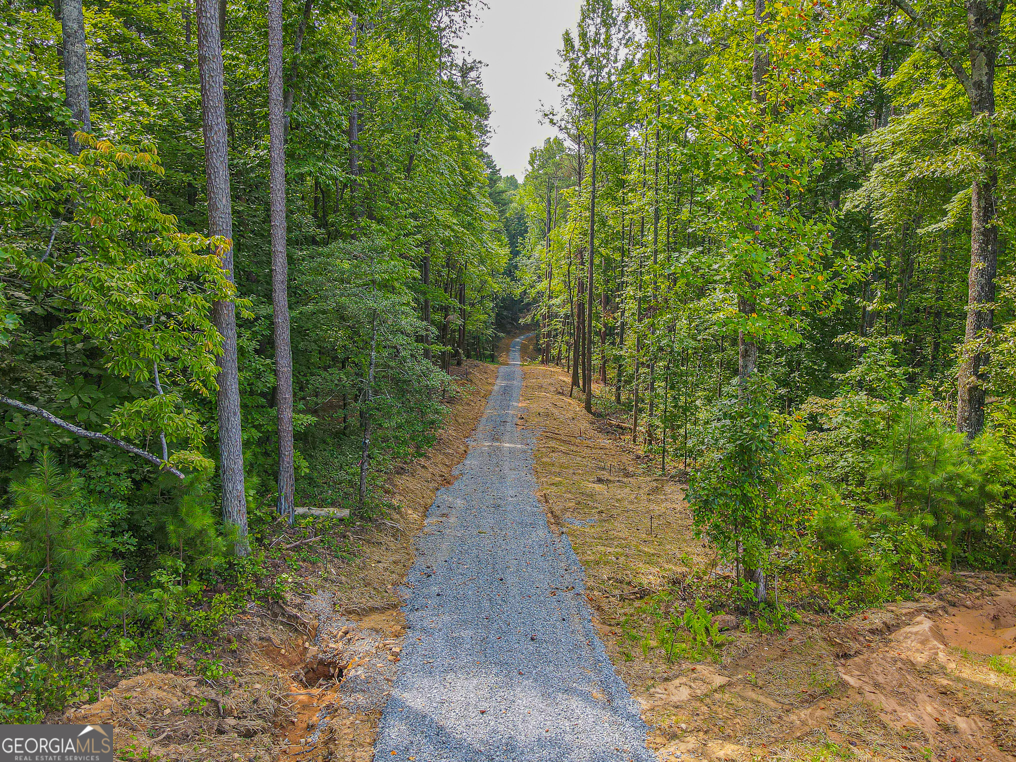 0 Orchard Lane Talking Rock, GA 30175 - Photo 5 of 23